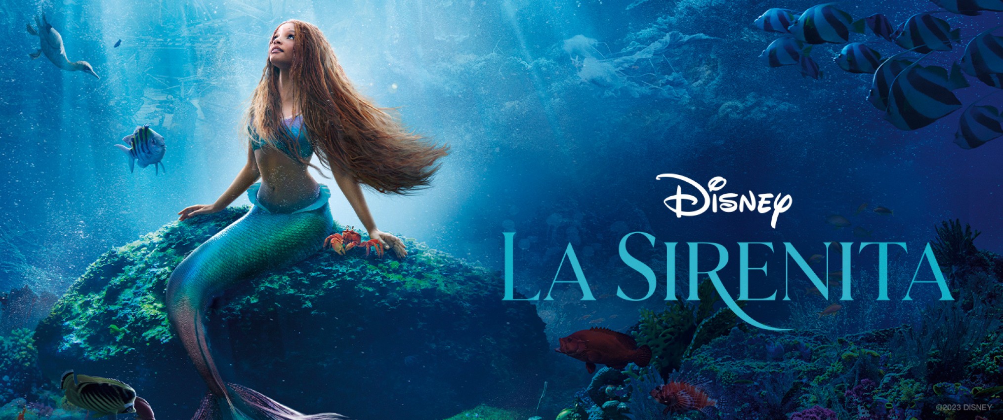 La Sirenita 